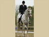 A Mir Image - Dressage