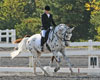 His Mir Image - 2007 Sporthorse National Champion- Dressage