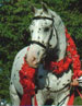 A Mir Image - Head Shot with Roses